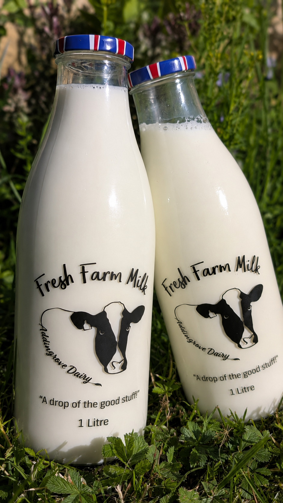 Milk Bottles